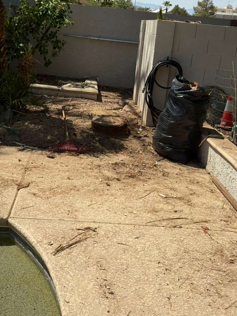 Yard cleanup and debris removal service