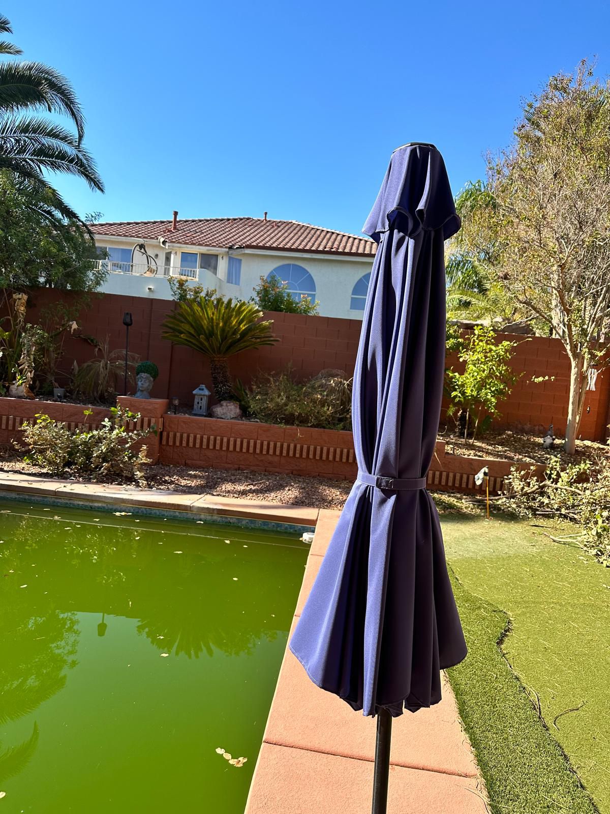 Backyard pool area with artificial turf