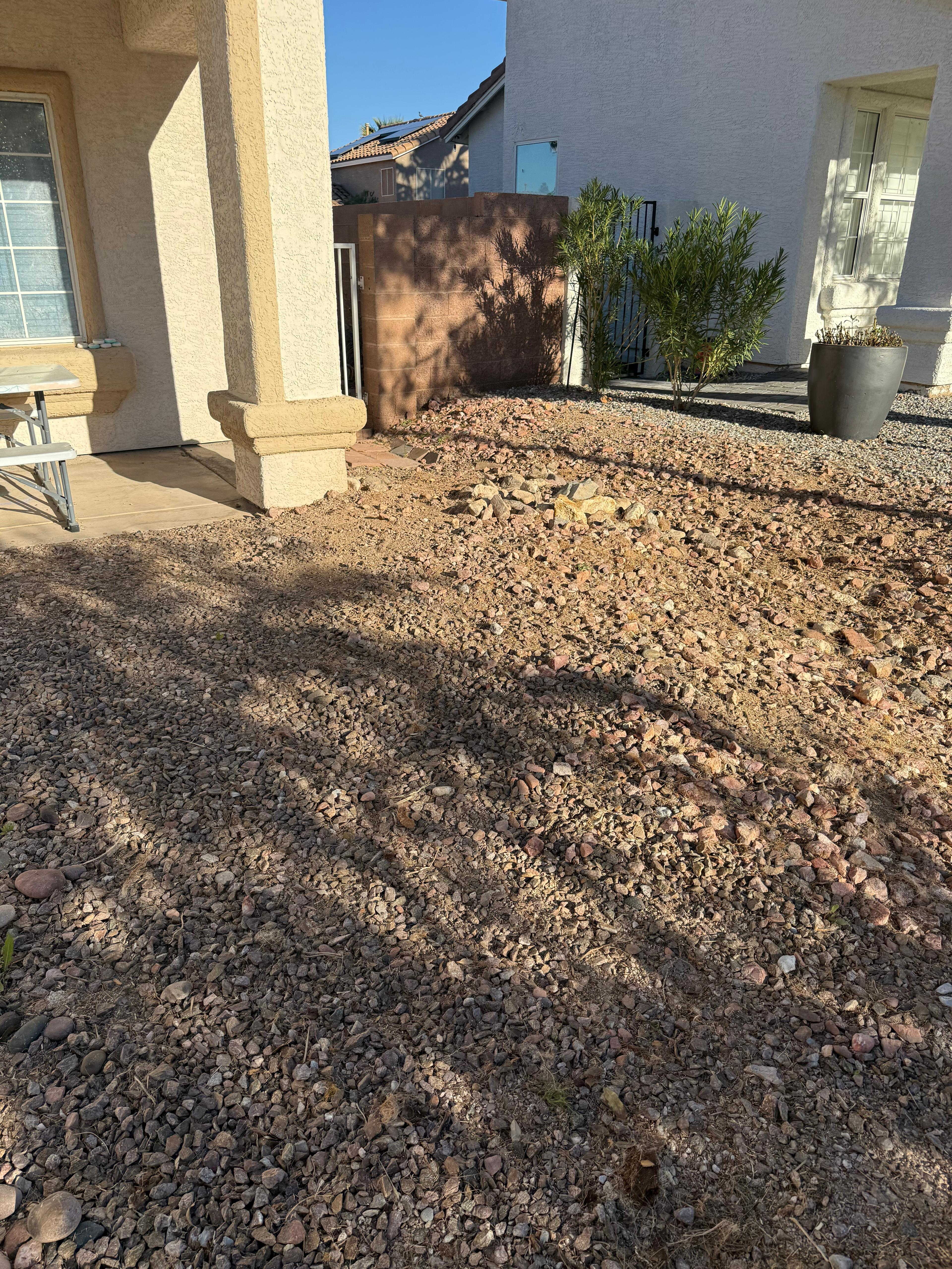 Desert gravel yard landscaping
