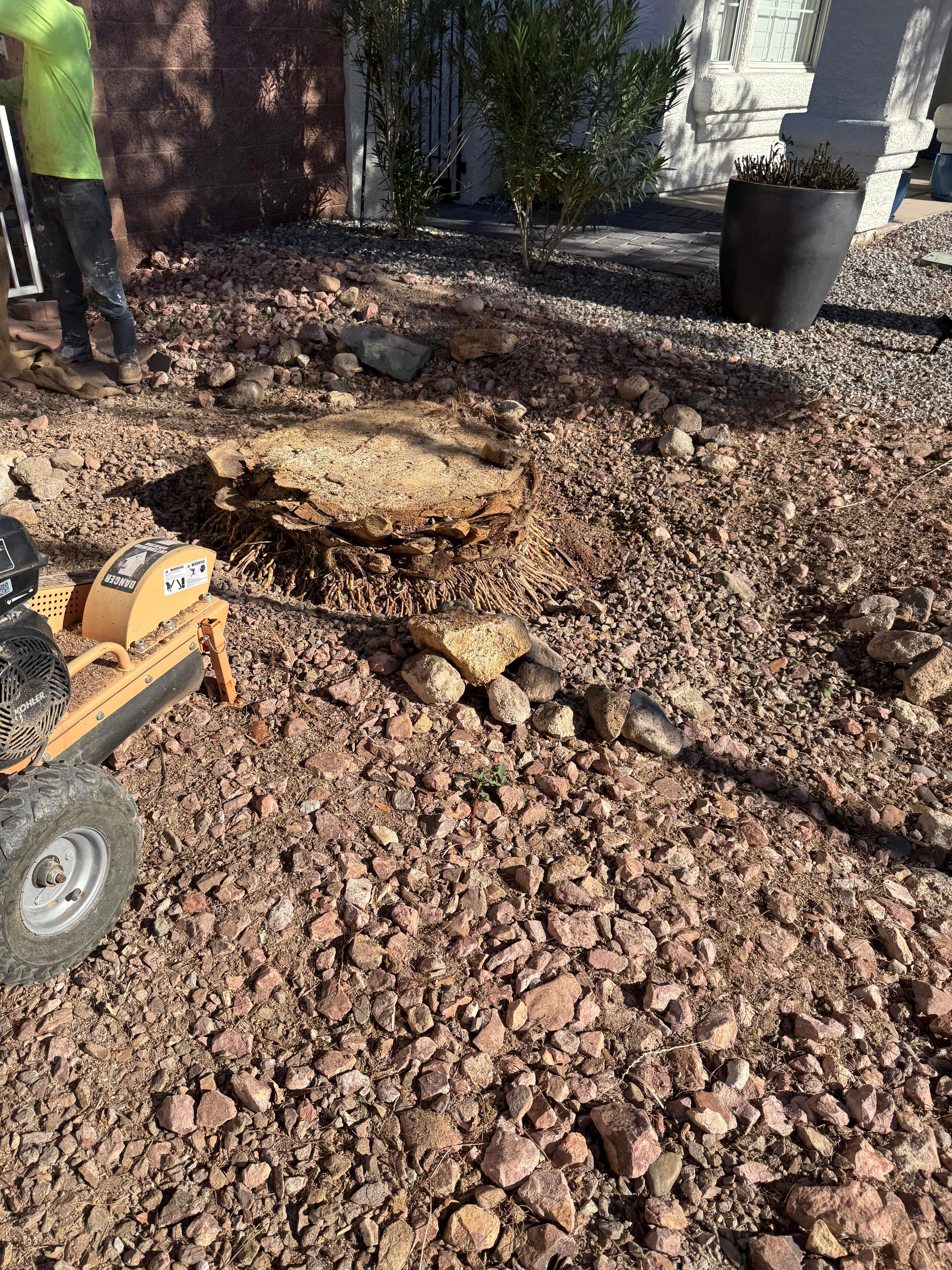 Stump grinding and yard cleanup